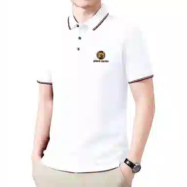 PIERRE CARDIN PoloT