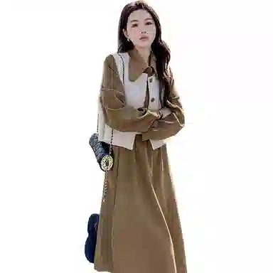 邦固依品 今年流行连衣裙女秋冬款美拉德穿搭马甲两件套遮肉显瘦裙子裙装套装 女款