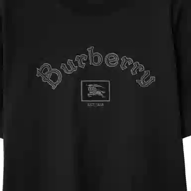 Burberry FW25 T