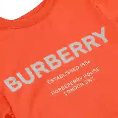Burberry SS22 LogoT