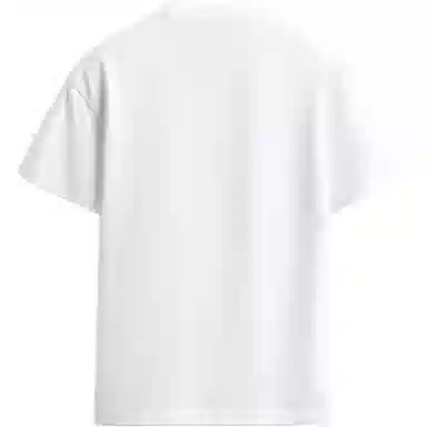 ZARA T