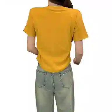 GOSO 2025 T