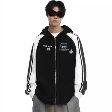 fdragon ins