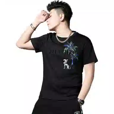 fdragon T