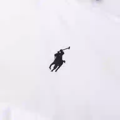 Polo Ralph Lauren FW24