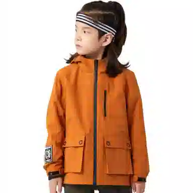 NORTHLAND PROFESSIONAL