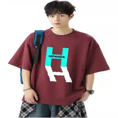 HIPANDA logoT