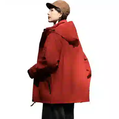 LISENPOK