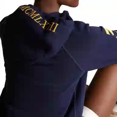 Polo Ralph Lauren Hoodie Navy