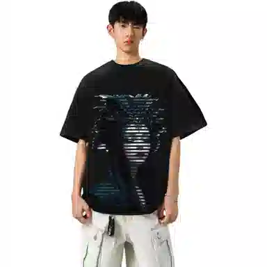 fdragon T