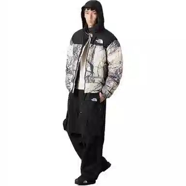 THE NORTH FACE 1996 UE ICON Nuptse 700