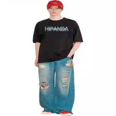 HIPANDA LogoT