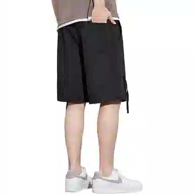 tonlion