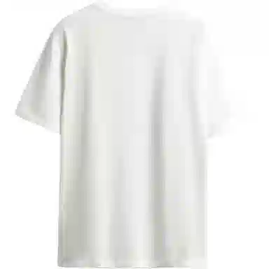 ZARA T