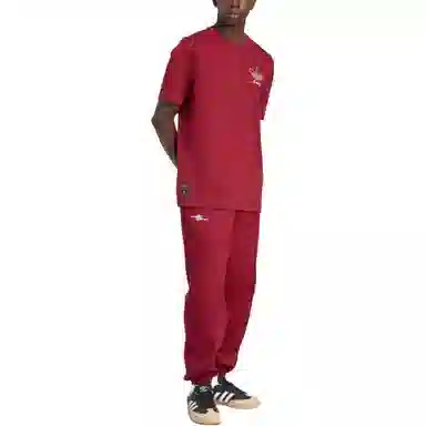 adidas originals Terrace Arsenal T