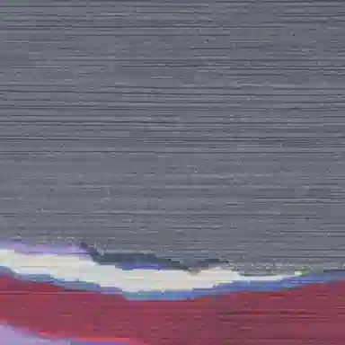 PLEATS PLEASE ISSEY MIYAKE