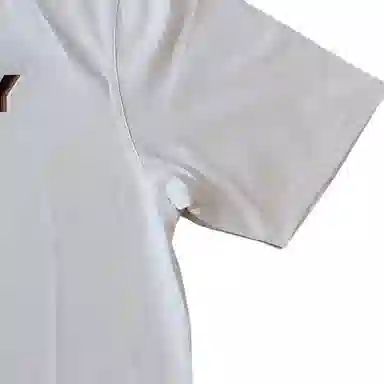 Burberry T