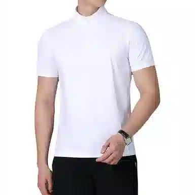 PIERRE CARDIN Polo