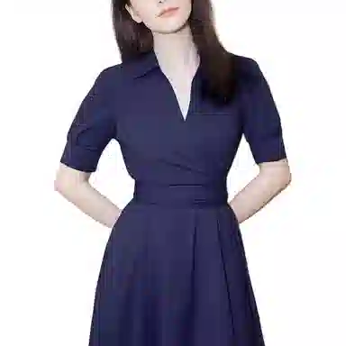 VNHP V
