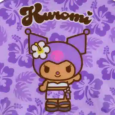 Sanrio characters PVC()