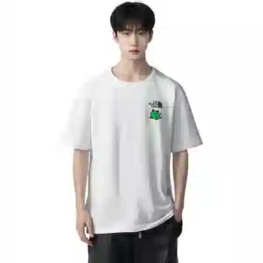 THE NORTH FACE Extraordinary logoT