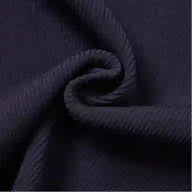 KARL LAGERFELD SS25 Polo