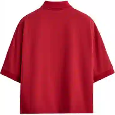 ZARA Polo