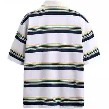 ZARA Polo