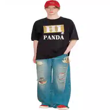 HIPANDA LogoT