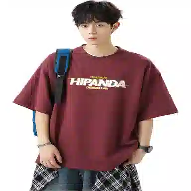 HIPANDA LogoT
