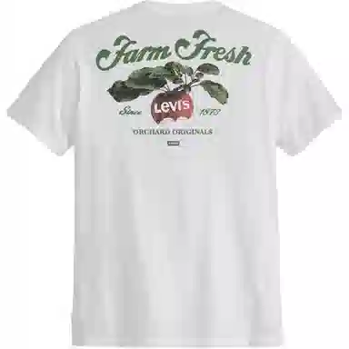levis T