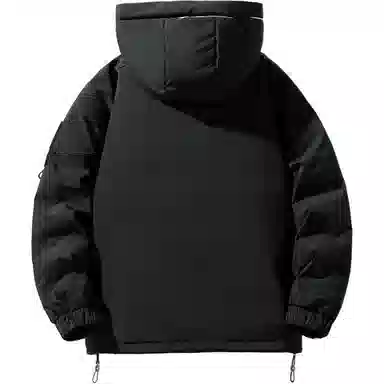 ICVBL 85