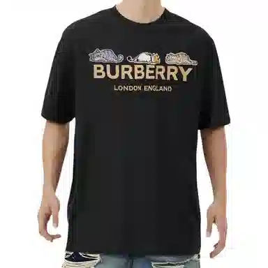 Burberry logoT
