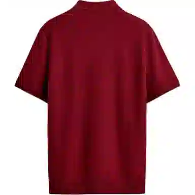 ZARA Polo