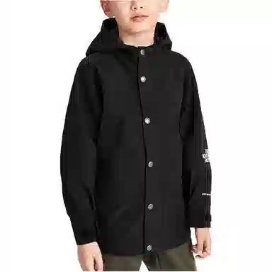 THE NORTH FACE 1994 Mountain JKT Logo