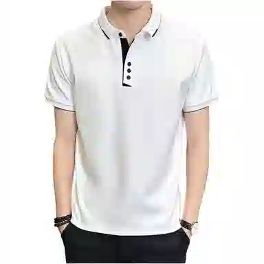 PIERRE CARDIN Polo