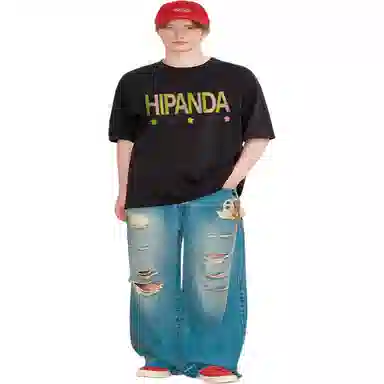 HIPANDA logoT