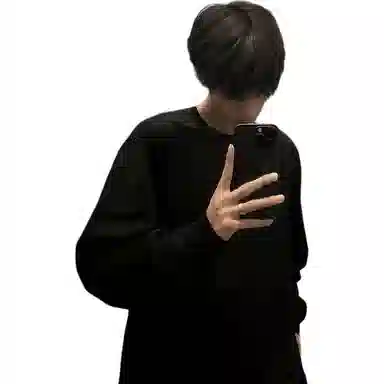 AOPAISHARK oversizeT