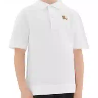 BurberryT Polo