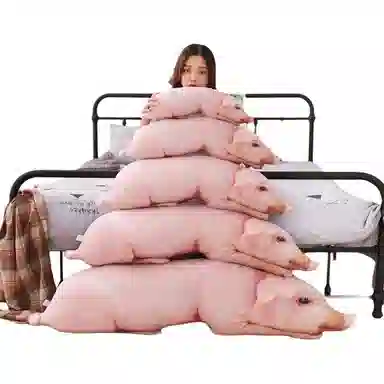 50cm70cm90cm120cm155cm