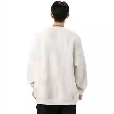 AOPAISHARK
