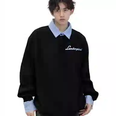 Automobili Lamborghini Polo