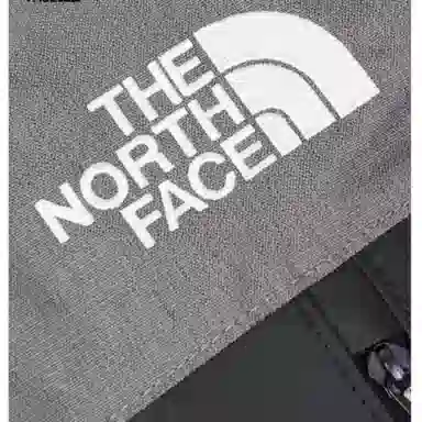 THE NORTH FACE28L LICHEN
