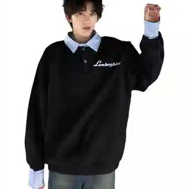 Automobili Lamborghini Polo