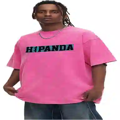 HIPANDA logoT