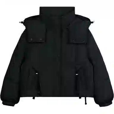 鸭鸭 短款时尚都市秋冬款小个子宽松保暖连帽鸭绒羽绒服 女款