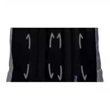 JanSport 26L