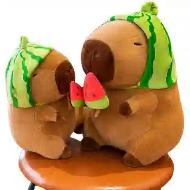 25cm35cm45cm55cm