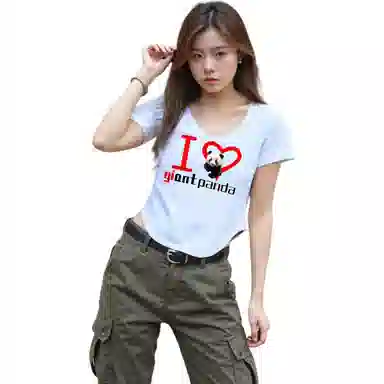 fdragon T