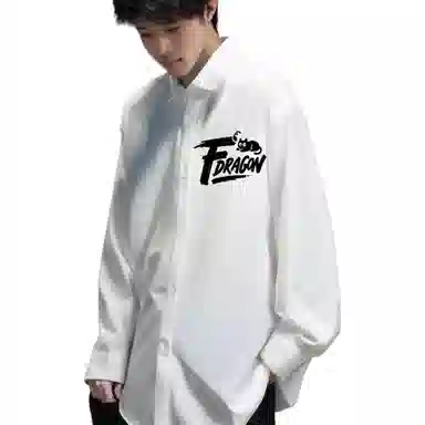 fdragon logo